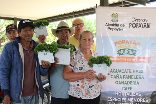 Mejoramiento de cultivos cafeteros en sector rural de Popayán