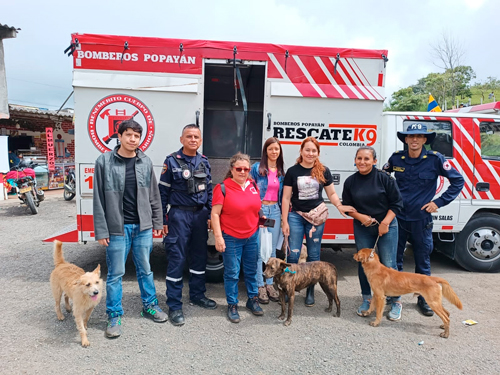 Ayudas para los animales damnificados en Rosas