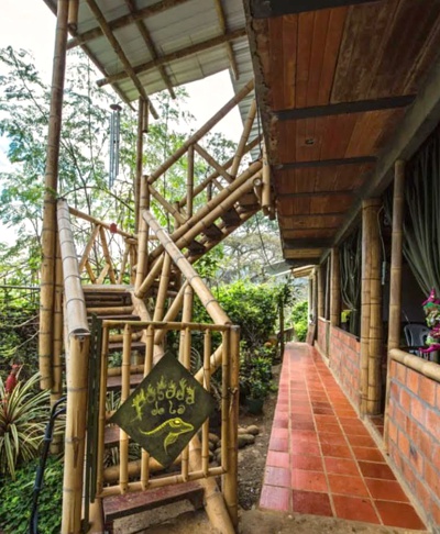 DYIL WALA, la casa de los oficios del corazón DYIL WALA, la casa de los oficios del corazón