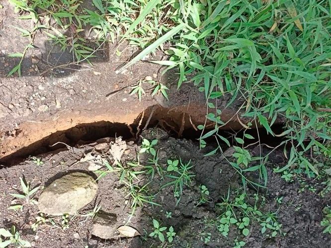 La naturaleza también hace milagros