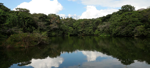 Sancionan a influencers por mal comportamiento en Ecoparque Las Garzas