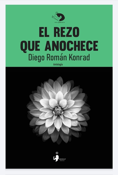 DIEGO ROMÁN DIEGO ROMÁN