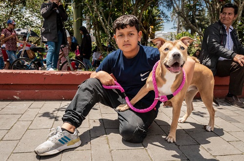 Inician jornadas masivas de atención a animales en Popayán Inician jornadas masivas de atención a animales en Popayán