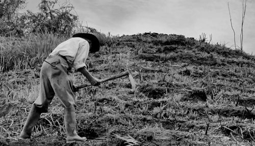 La cotidianidad campesina interrumpida La cotidianidad campesina interrumpida