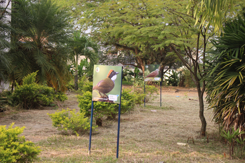 Quilichao trabaja para ser potencia ambiental en el Cauca Quilichao trabaja para ser potencia ambiental en el Cauca