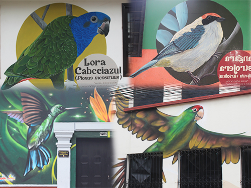 Quilichao trabaja para ser potencia ambiental en el Cauca