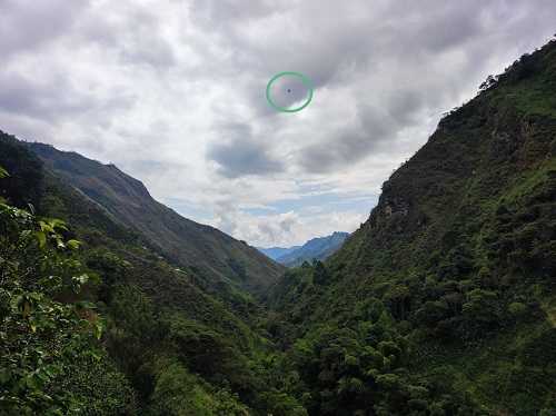 En Inzá se inauguró el primer cable carga cafetero - Comité de Cafeteros del Cauca En Inzá se inauguró el primer cable carga cafetero - Comité de Cafeteros del Cauca
