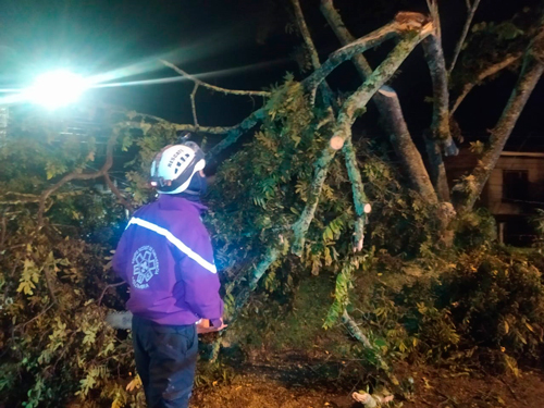 Organismos de socorro atendieron emergencias por lluvias Organismos de socorro atendieron emergencias por lluvias