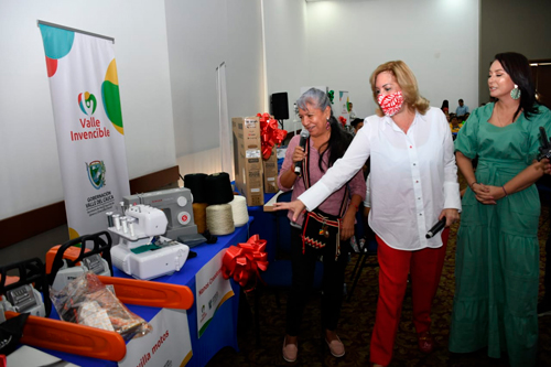 Entrega de insumos "Somos Invencibles"