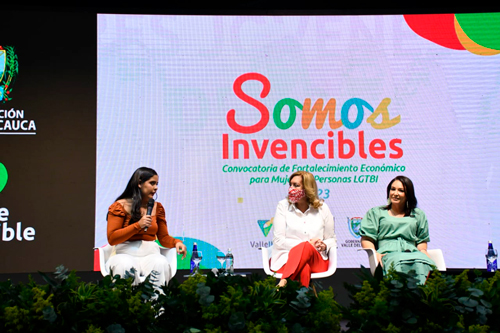 Entrega de insumos "Somos Invencibles"
