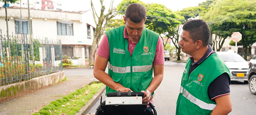 Inicia inspección en los árboles de Cali 