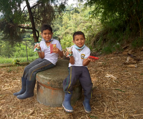 Programa de Alimentación Escolar presenta su balance al público