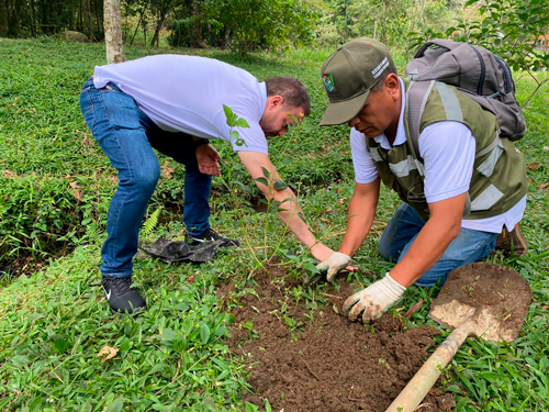 Más de 2.000 árboles plantados el Día del Árbol