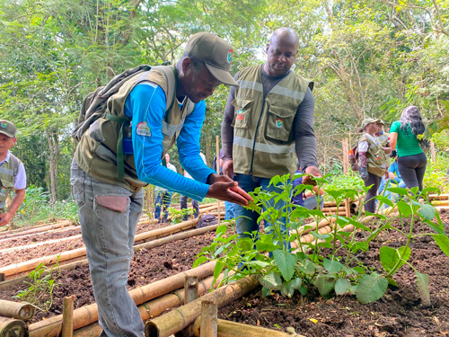 Más de 2.000 árboles plantados el Día del Árbol