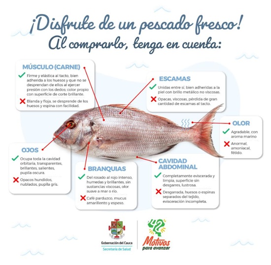 Disfrute de un pescado fresco en Semana Santa - Secretaría de Salud del Cauca Disfrute de un pescado fresco en Semana Santa - Secretaría de Salud del Cauca