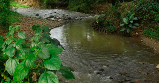 El río Quilichao y la degradación de su cuenca El río Quilichao y la degradación de su cuenca