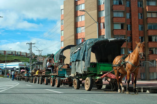 En Popayán sustituirán vehículos de tracción animal En Popayán sustituirán vehículos de tracción animal