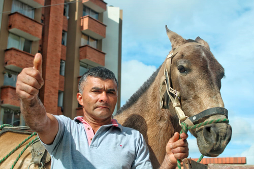 En Popayán sustituirán vehículos de tracción animal En Popayán sustituirán vehículos de tracción animal