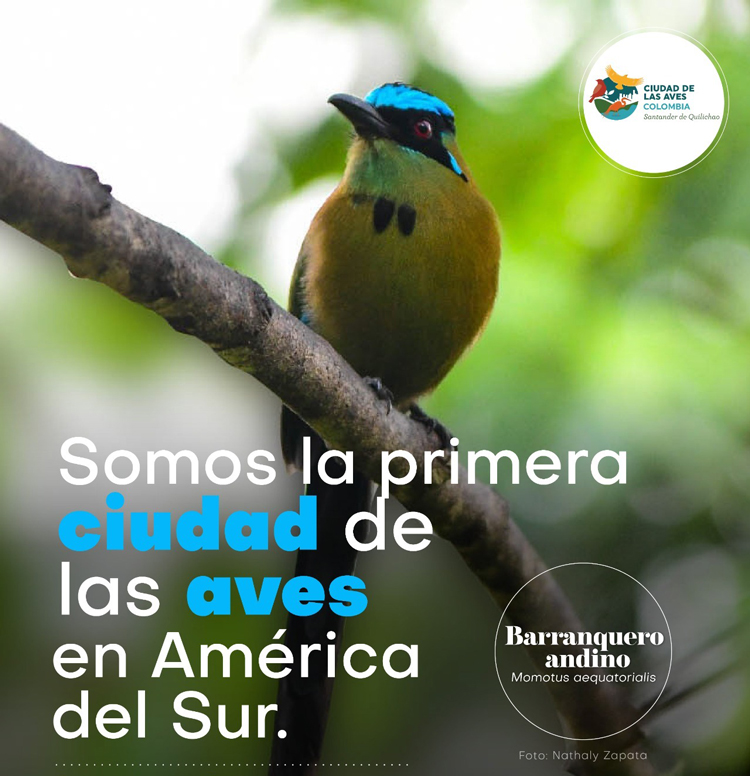 Santander de Quilichao: Ciudad de las Aves Santander de Quilichao: Ciudad de las Aves