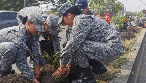 1.453 plantas adornarán la vía Cali Jamundí