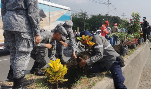 1.453 plantas adornarán la vía Cali Jamundí