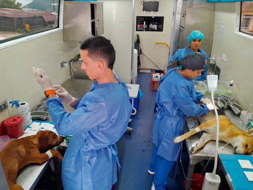Unidad Móvil de Esterilización para perros y gatos vulnerables Unidad Móvil de Esterilización para perros y gatos vulnerables