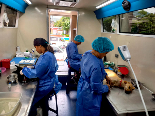 Unidad Móvil de Esterilización para perros y gatos vulnerables Unidad Móvil de Esterilización para perros y gatos vulnerables