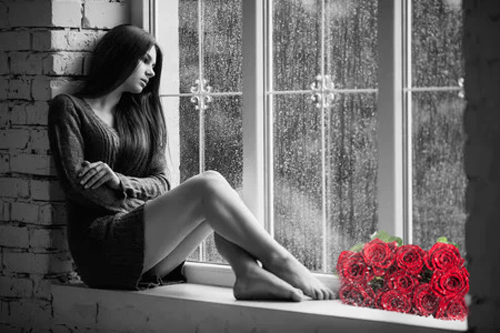 Las rosas de Rebeca en una tarde de lluvia.