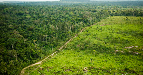 Por la recuperación de la Amazonia Por la recuperación de la Amazonia