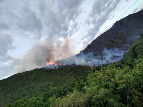 Continúa incendio forestal en zona rural de Yotoco