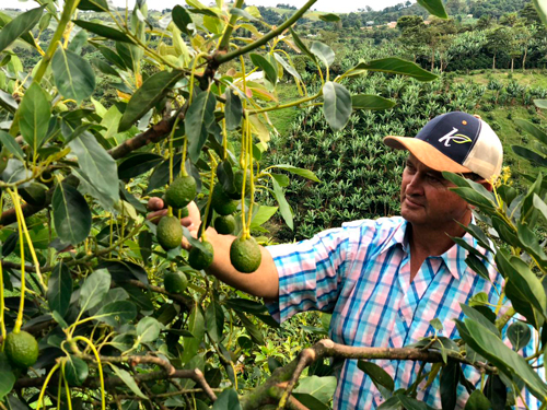 El Valle conquistó mercados internacionales