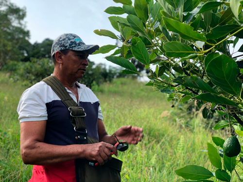 El Valle conquistó mercados internacionales