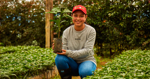 CEO impulsa emprendimientos de jóvenes cafeteros