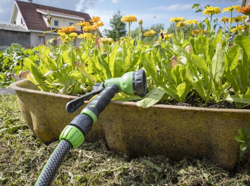 El arte del riego - pistola de agua, tu aliada perfecta en jardinería. El arte del riego - pistola de agua, tu aliada perfecta en jardinería.