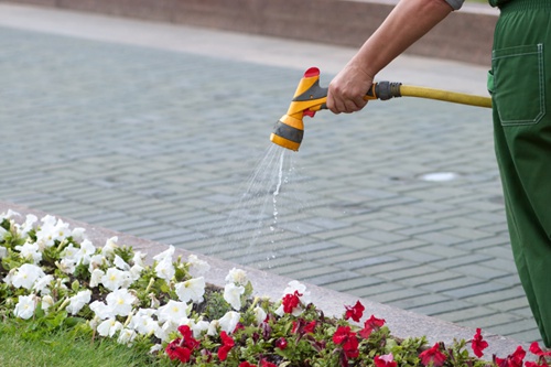 El arte del riego - pistola de agua, tu aliada perfecta en jardinería. El arte del riego - pistola de agua, tu aliada perfecta en jardinería.