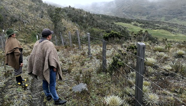 La función ecológica y la función social de la propiedad