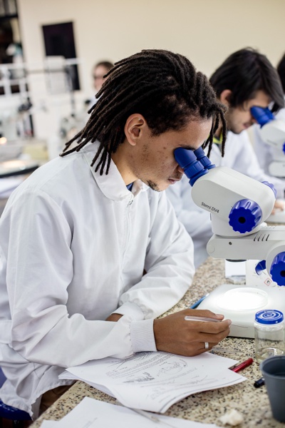 Universidad del Cauca mejoró su posición en los rankings Scimago y Webometrics - Colombia 2023 Universidad del Cauca mejoró su posición en los rankings Scimago y Webometrics - Colombia 2023