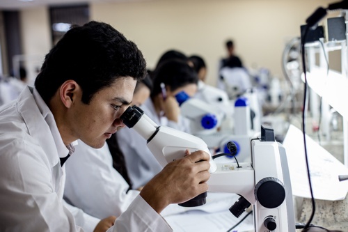 Universidad del Cauca mejoró su posición en los rankings Scimago y Webometrics - Colombia 2023 Universidad del Cauca mejoró su posición en los rankings Scimago y Webometrics - Colombia 2023