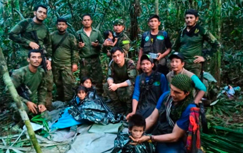 Perdidos en la selva Perdidos en la selva