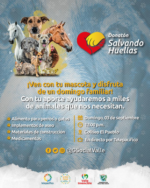 ‘Salvando Huellas’ ‘Salvando Huellas’