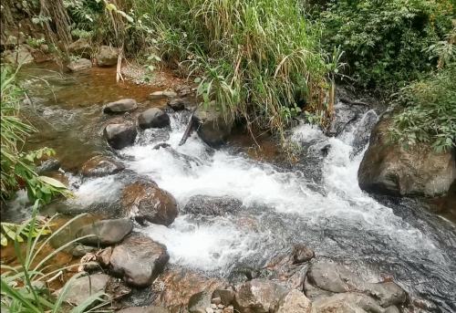 Los Farallones de Cali y Villacarmelo: Un tesoro en peligro Los Farallones de Cali y Villacarmelo: Un tesoro en peligro