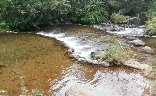 Los Farallones de Cali y Villacarmelo: Un tesoro en peligro Los Farallones de Cali y Villacarmelo: Un tesoro en peligro