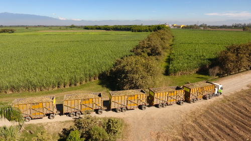 Movilidad sostenible con vehículos 100% a gas natural