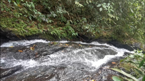 Parque Nacional Natural Farallones Parque Nacional Natural Farallones