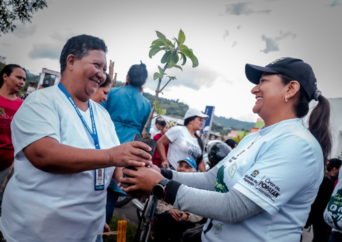 Familias de la comuna 5 siembran árboles y se comprometen con el cuidado de su entorno Familias de la comuna 5 siembran árboles y se comprometen con el cuidado de su entorno
