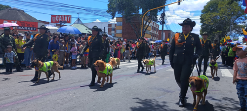 Popayán vivió la fiesta patria