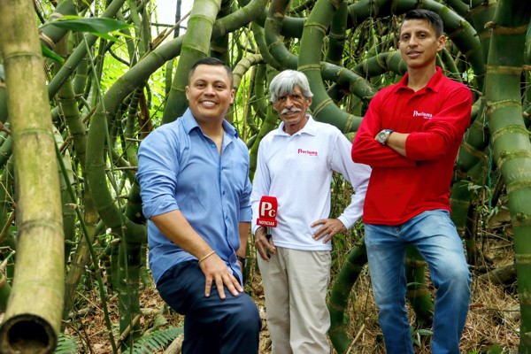 David Luna, Alfonso Luna, Hernán Luna. David Luna, Alfonso Luna, Hernán Luna.