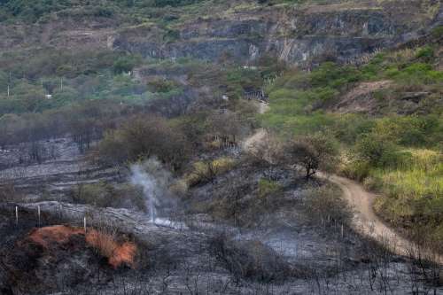 La calidad del aire tras incendios en Cali