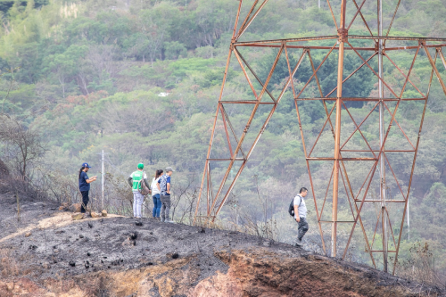 Hubo incremento en el contaminante ozono