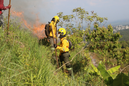 Incendios forestales en el Valle Incendios forestales en el Valle